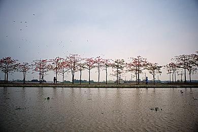 《龙腾世纪：影障守护者》创建环节要照顾有色人种